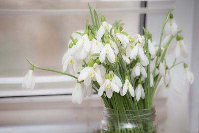 Прикрепленное изображение: IMG_0324.jpg